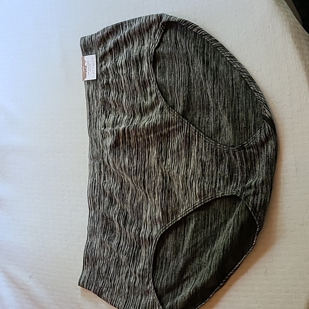 NWT Cacique The Smoother Hispter Panty